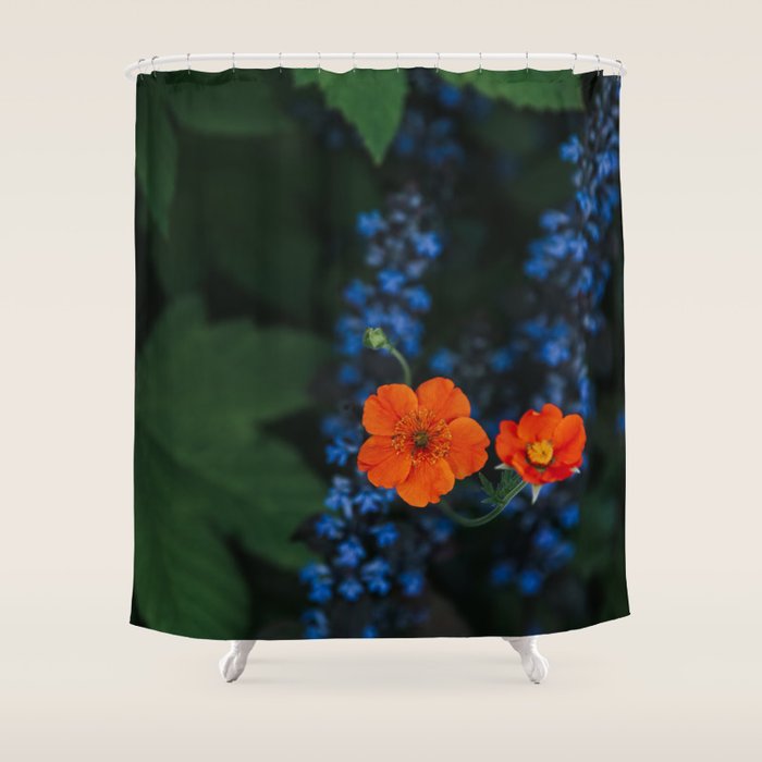 Bloom Time - Landscape and Nature Photography Shower Curtain Gallery Image 1
