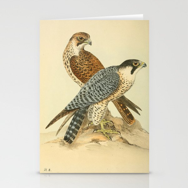 Peregrine Falcon by Henry Leonard Meyer, 1853 (benefitting The Nature Conservancy) Stationery Card Gallery Image 2