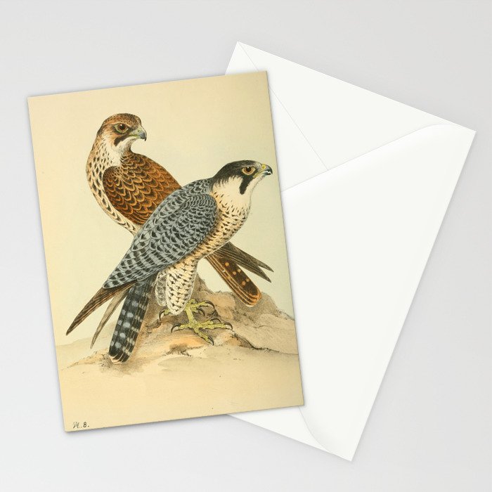 Peregrine Falcon by Henry Leonard Meyer, 1853 (benefitting The Nature Conservancy) Stationery Card Gallery Image 2