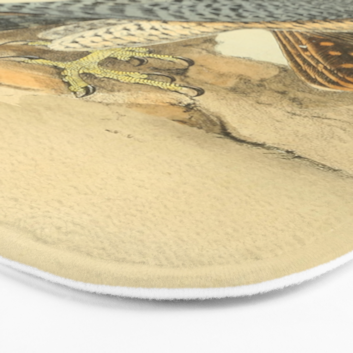 Peregrine Falcon by Henry Leonard Meyer, 1853 (benefitting The Nature Conservancy) Bath Mat Gallery Image 3