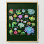 Baby succulent 2 - dark Serving Tray Gallery Image 1
