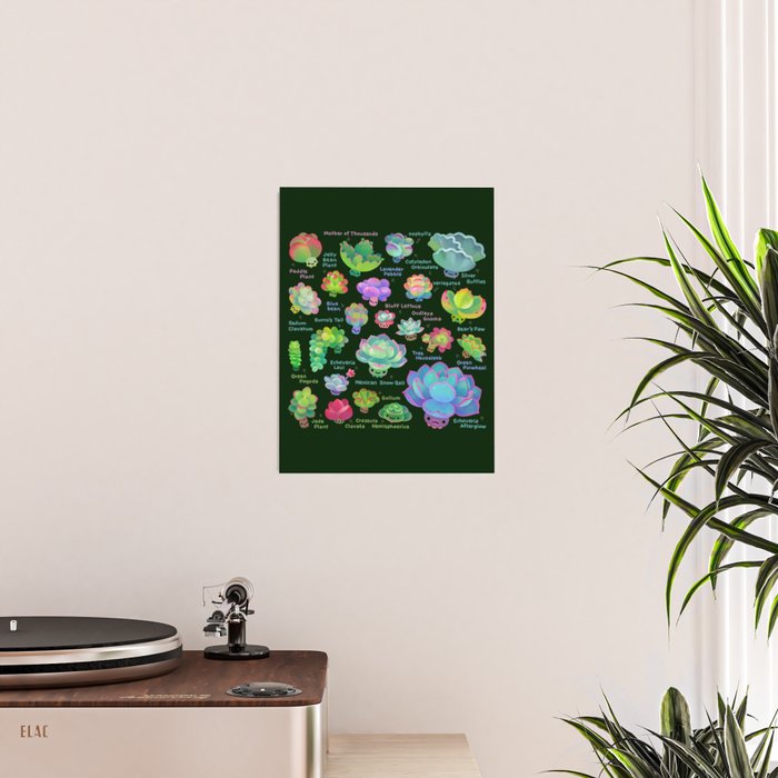 Baby succulent 2 - dark Poster Gallery Image 2