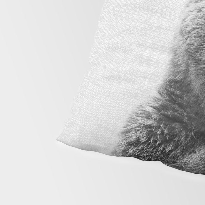 Grizzly Bear - Black & White Pillow Sham Gallery Image 4