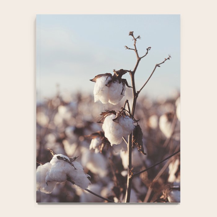 West Texas Cotton Field Notebook Gallery Image 4