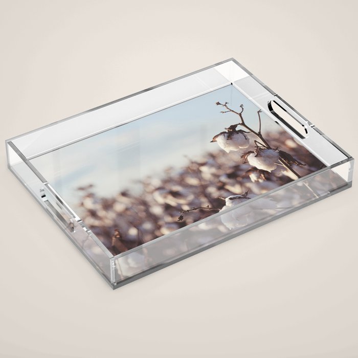 West Texas Cotton Field Acrylic Tray Gallery Image 1