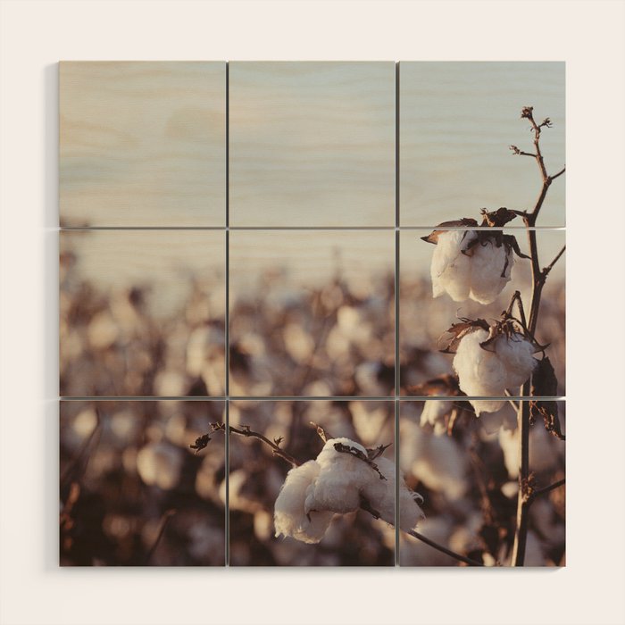 West Texas Cotton Field Wood Wall Art Gallery Image 1