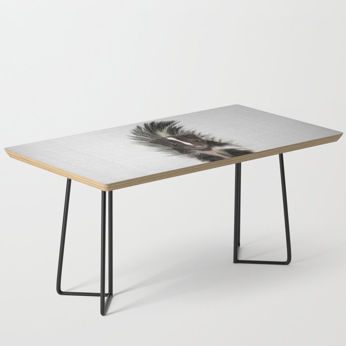 Skunk - Colorful Coffee Table Gallery Image 1