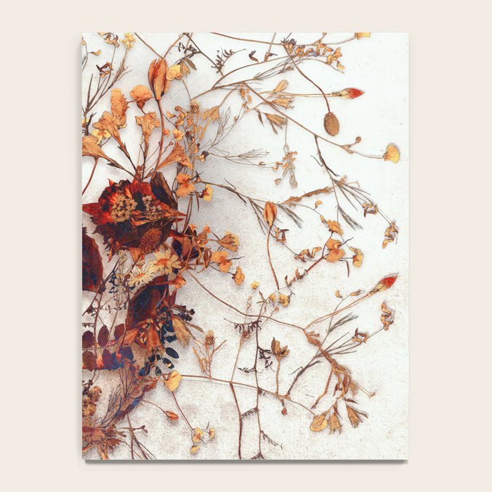 Delicate Skull Notebook Gallery Image 4