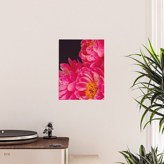 Hot Pink Peonies Poster Gallery Image 2