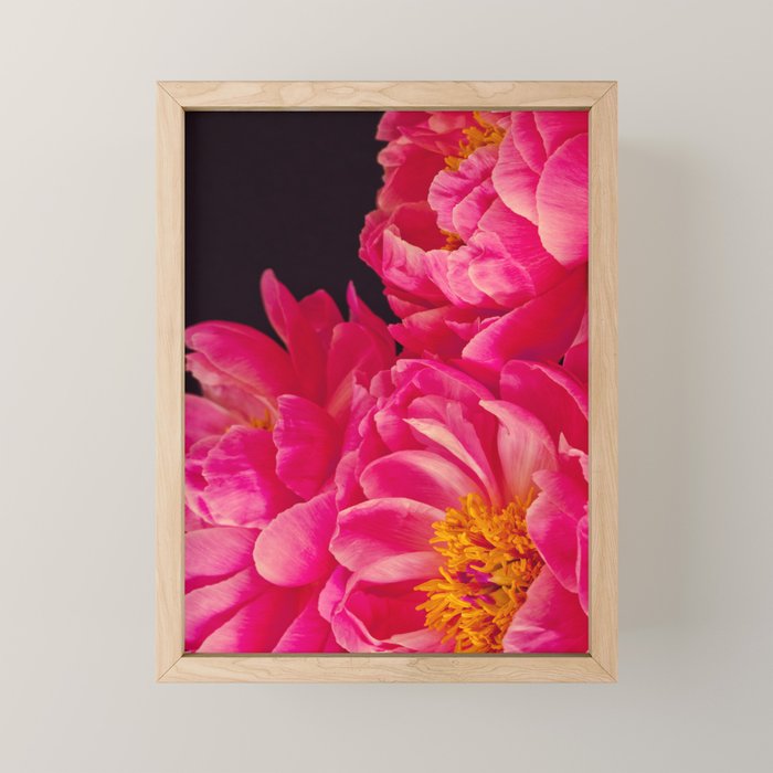 Hot Pink Peonies Mini Art Print Gallery Image 1