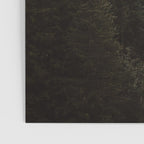 Evergreen Mountain Pines in the Fog Poster Gallery Image 3