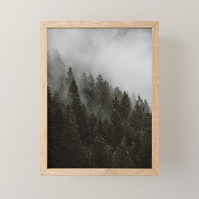 Evergreen Mountain Pines in the Fog Mini Art Print Gallery Image 1