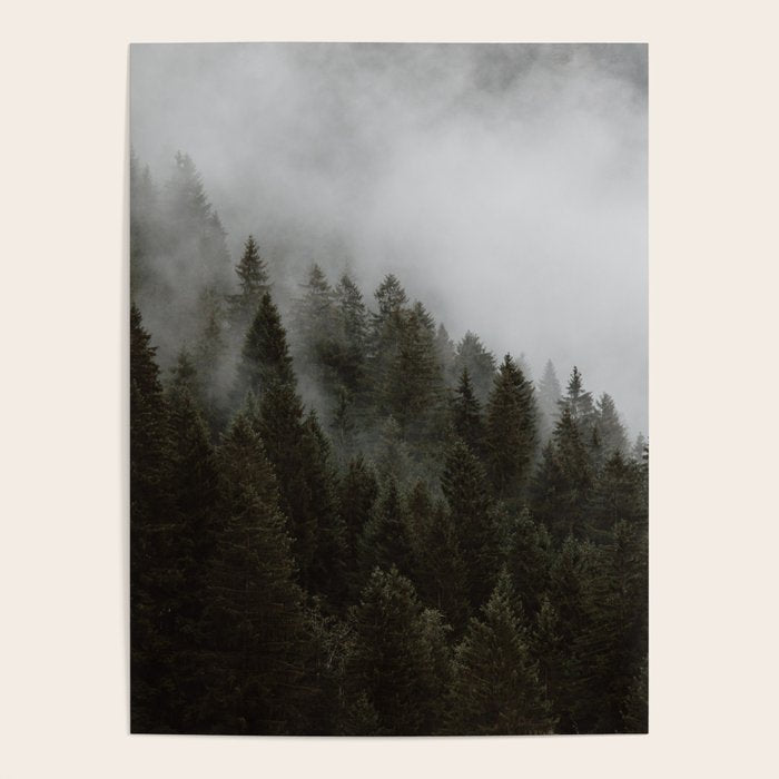 Evergreen Mountain Pines in the Fog Poster Gallery Image 1