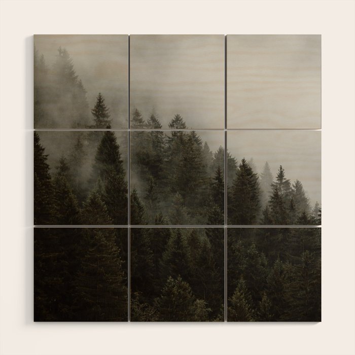 Evergreen Mountain Pines in the Fog Wood Wall Art Gallery Image 1