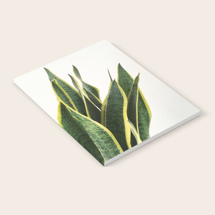Sansevieria Notebook Gallery Image 1