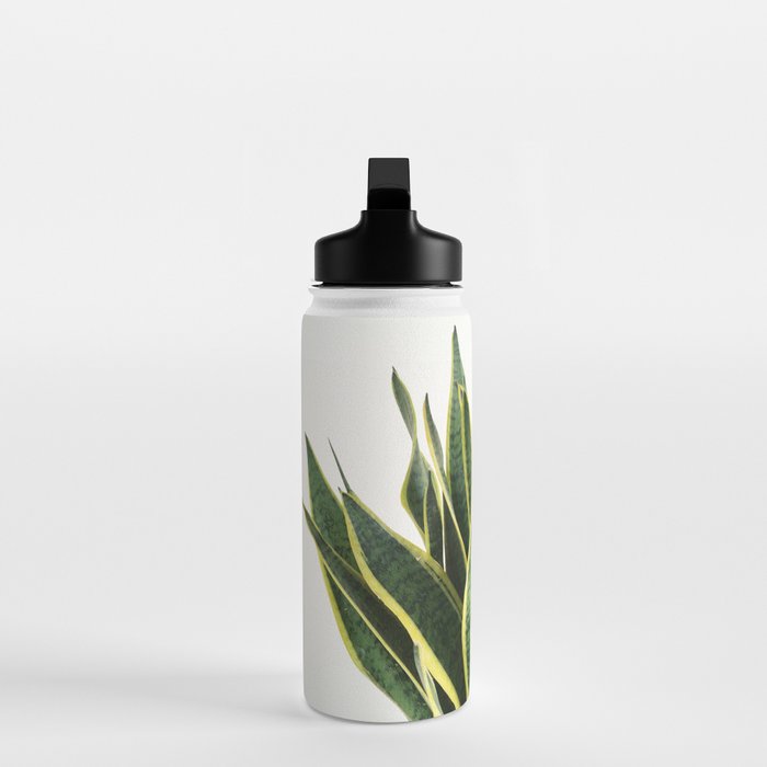Sansevieria Water Bottle Gallery Image 3