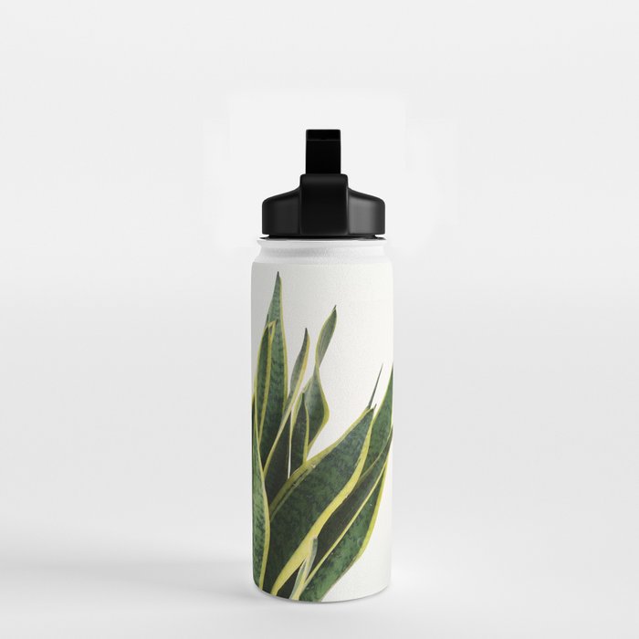 Sansevieria Water Bottle Gallery Image 2
