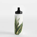 Sansevieria Water Bottle Gallery Image 2
