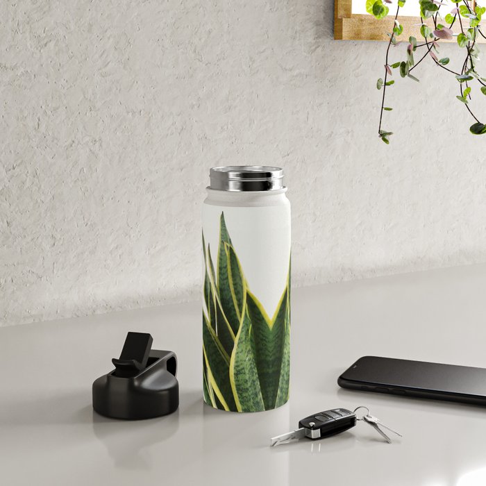 Sansevieria Water Bottle Gallery Image 5