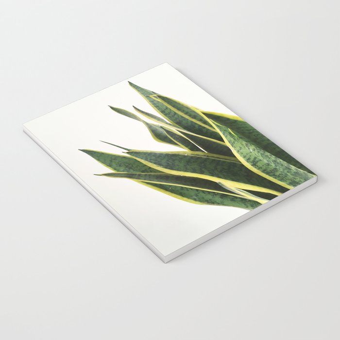 Sansevieria Notebook Gallery Image 3