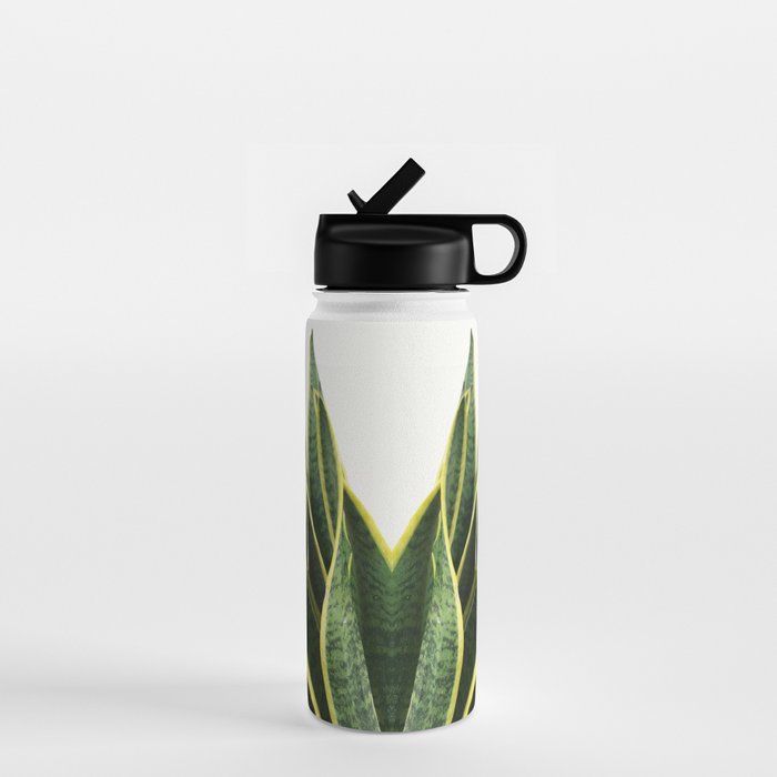 Sansevieria Water Bottle Gallery Image 1