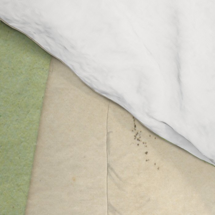 Mint Bow Comforter Gallery Image 4