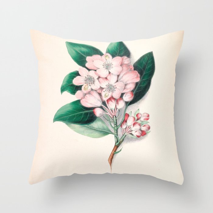  Rhododendron by Clarissa Munger Badger, 1859 (benefitting The Nature Conservancy) Throw Pillow Gallery Image 6