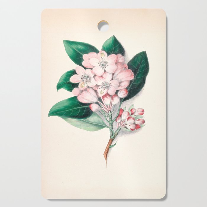  Rhododendron by Clarissa Munger Badger, 1859 (benefitting The Nature Conservancy) Cutting Board Gallery Image 1