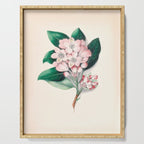  Rhododendron by Clarissa Munger Badger, 1859 (benefitting The Nature Conservancy) Serving Tray Gallery Image 1