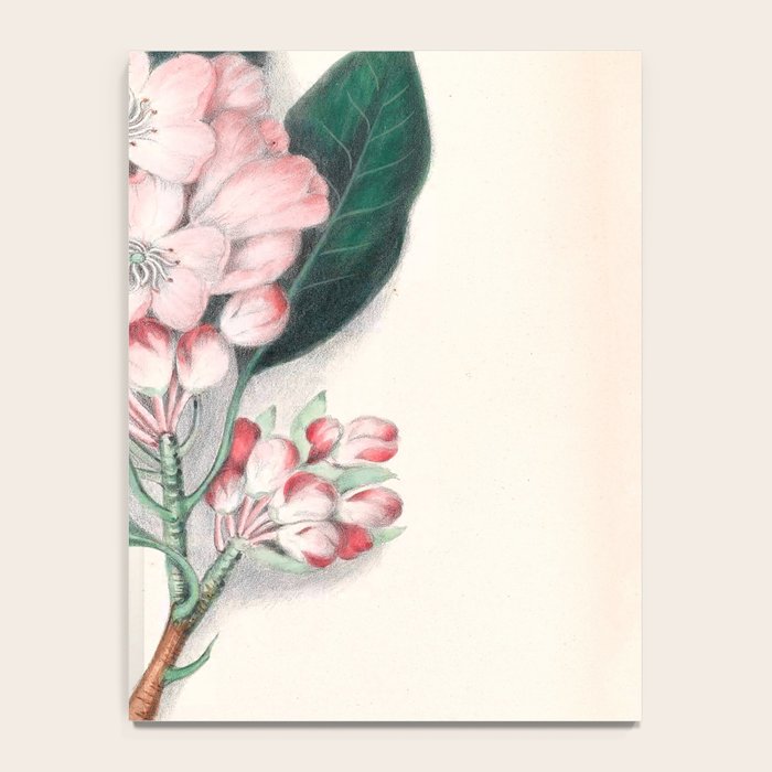  Rhododendron by Clarissa Munger Badger, 1859 (benefitting The Nature Conservancy) Notebook Gallery Image 4