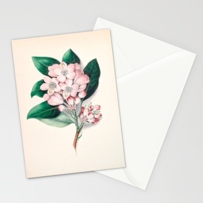  Rhododendron by Clarissa Munger Badger, 1859 (benefitting The Nature Conservancy) Stationery Card Gallery Image 2