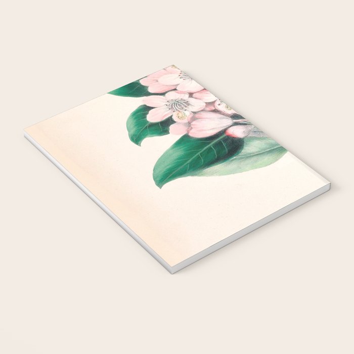  Rhododendron by Clarissa Munger Badger, 1859 (benefitting The Nature Conservancy) Notebook Gallery Image 3