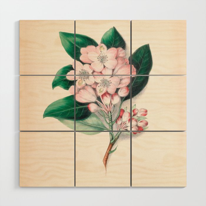  Rhododendron by Clarissa Munger Badger, 1859 (benefitting The Nature Conservancy) Wood Wall Art Gallery Image 1