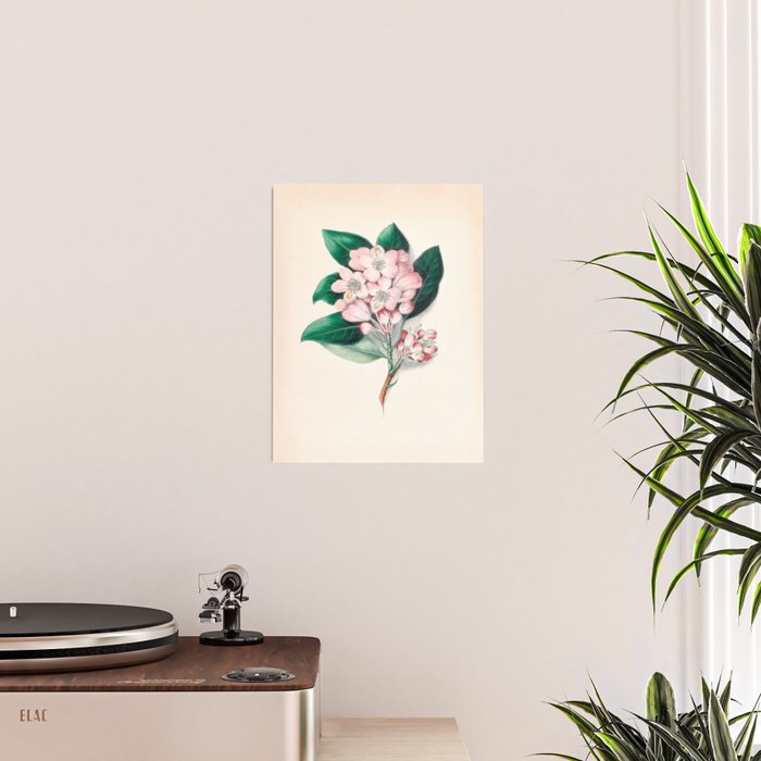  Rhododendron by Clarissa Munger Badger, 1859 (benefitting The Nature Conservancy) Poster Gallery Image 2