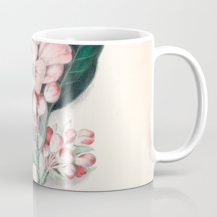  Rhododendron by Clarissa Munger Badger, 1859 (benefitting The Nature Conservancy) Coffee Mug Gallery Image 1
