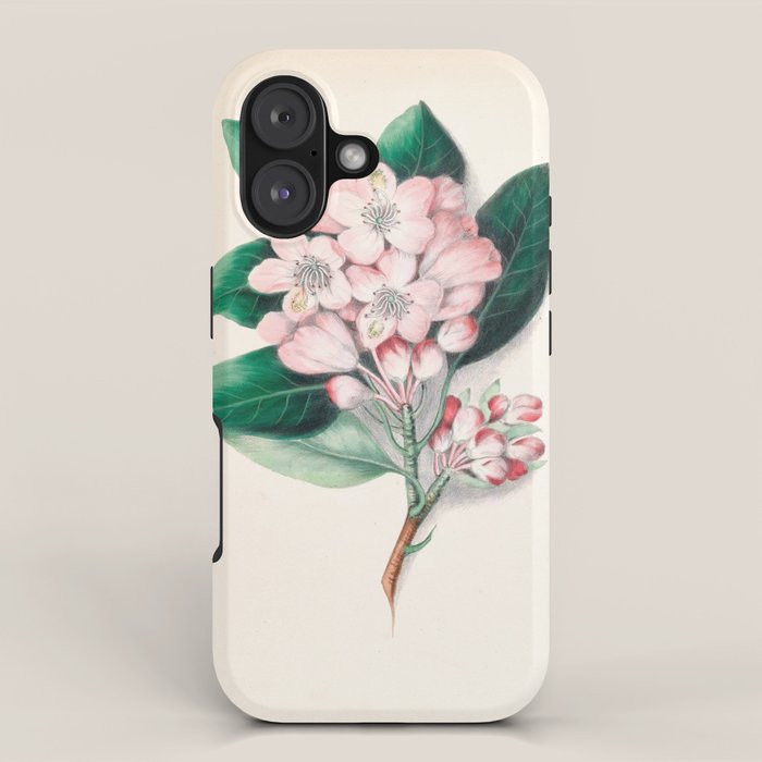  Rhododendron by Clarissa Munger Badger, 1859 (benefitting The Nature Conservancy) iPhone Case Gallery Image 1
