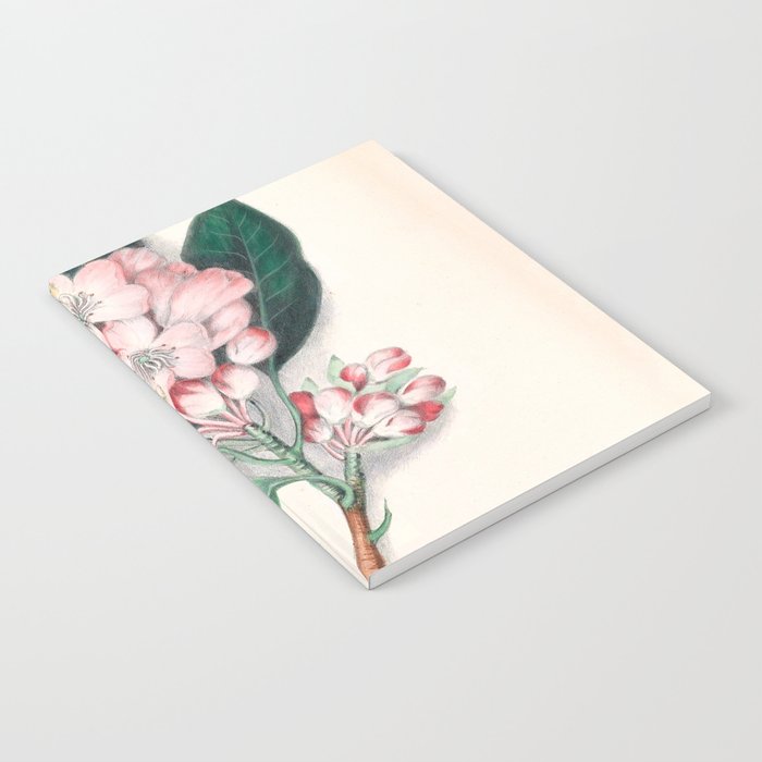  Rhododendron by Clarissa Munger Badger, 1859 (benefitting The Nature Conservancy) Notebook Gallery Image 1