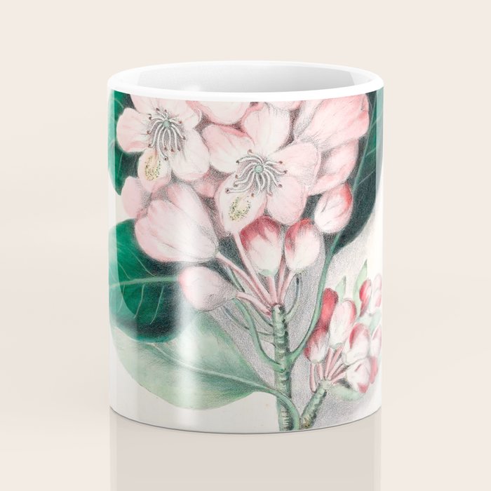  Rhododendron by Clarissa Munger Badger, 1859 (benefitting The Nature Conservancy) Coffee Mug Gallery Image 4
