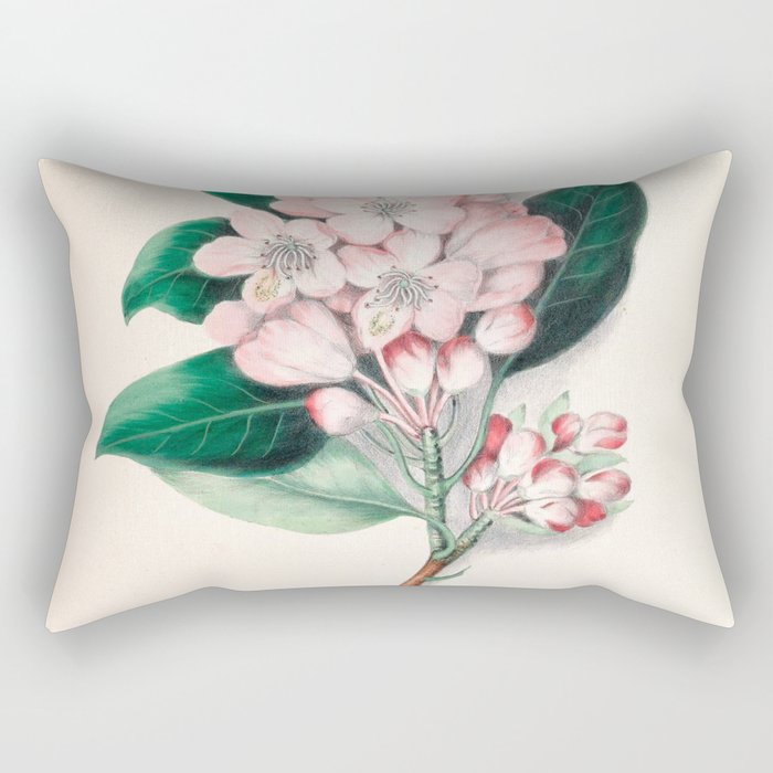  Rhododendron by Clarissa Munger Badger, 1859 (benefitting The Nature Conservancy) Rectangular Pillow Gallery Image 2