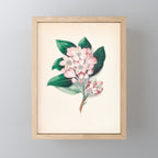  Rhododendron by Clarissa Munger Badger, 1859 (benefitting The Nature Conservancy) Mini Art Print Gallery Image 1
