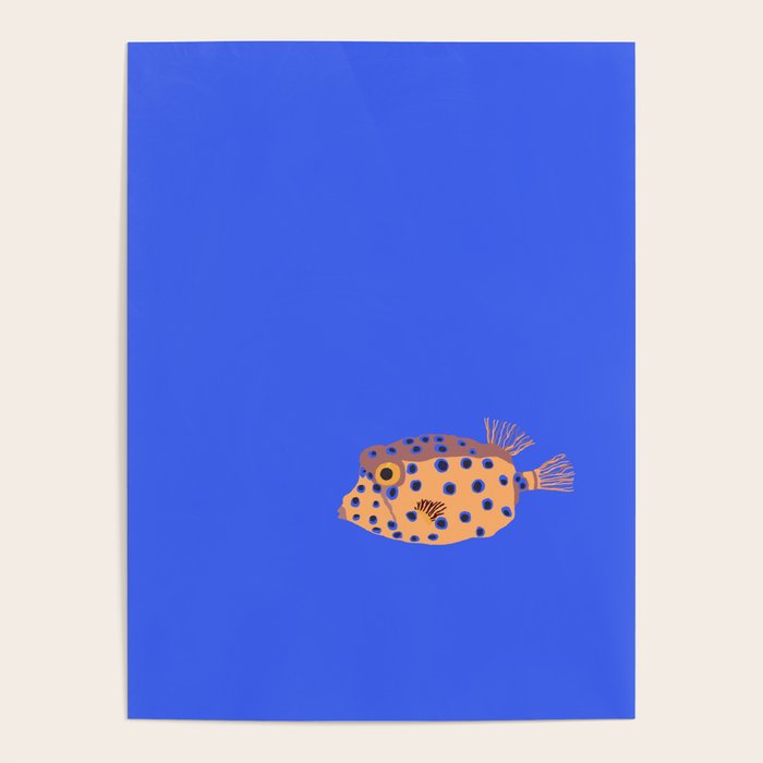 Box Fish Poster Gallery Image 4