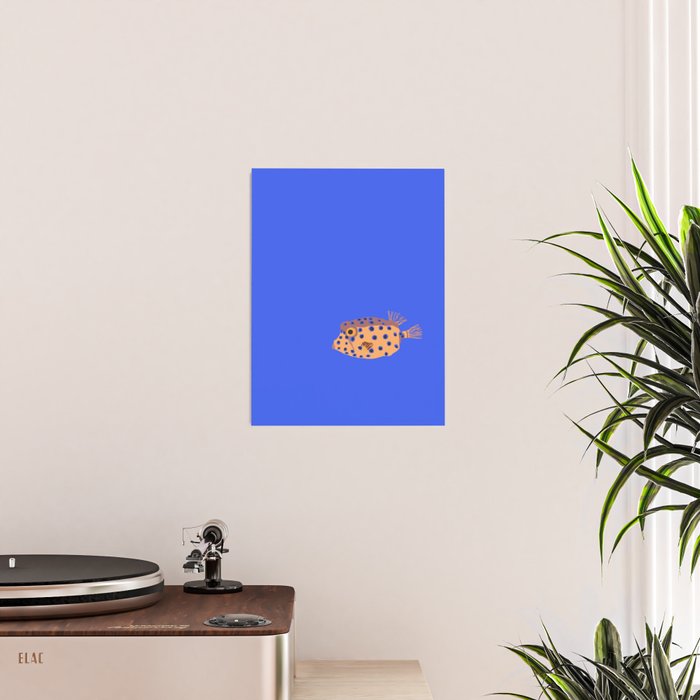 Box Fish Poster Gallery Image 2