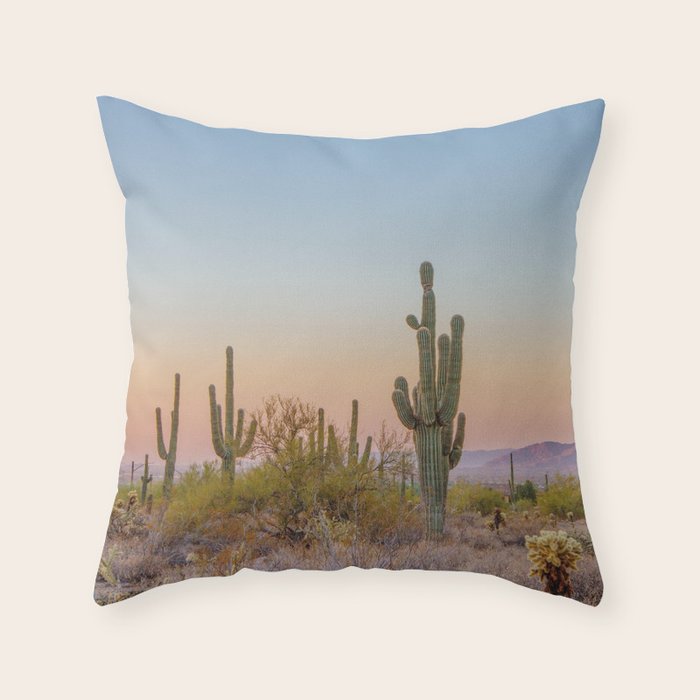 Desert / Scottsdale, Arizona Throw Pillow Gallery Image 6