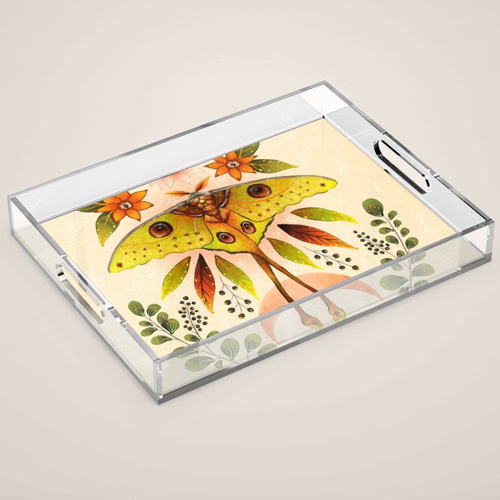 Moth Wings IV Acrylic Tray Gallery Image 1