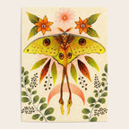 Moth Wings IV Poster Gallery Image 4