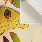 Moth Wings IV Wall Tapestry Gallery Image 3