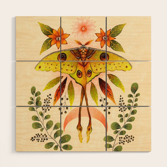 Moth Wings IV Wood Wall Art Gallery Image 1