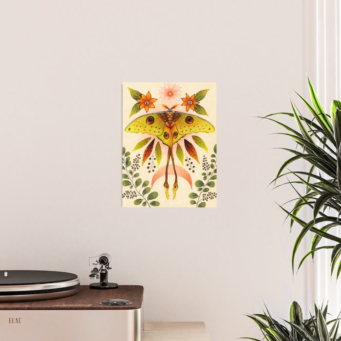 Moth Wings IV Poster Gallery Image 2