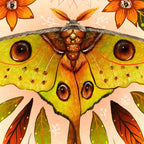Moth Wings IV Coffee Mug Gallery Image 2