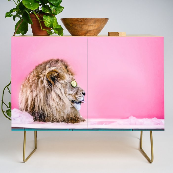 Lion in the Bathtub Credenza Gallery Image 1